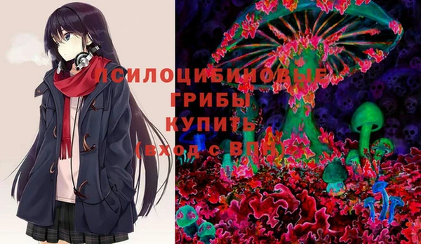 каннабис Каменногорск
