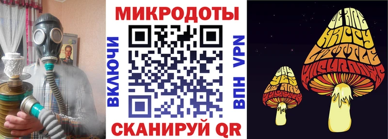 Купить закладки  Камбарка  Галлюциногенные грибы мицелий 